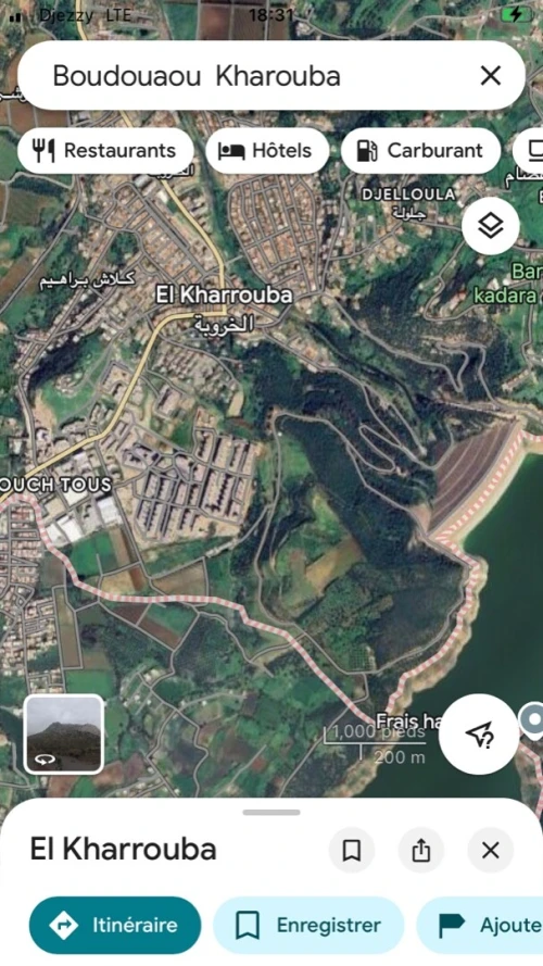 Vente Terrain Boumerdès Boudouaou