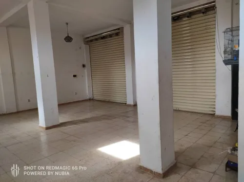 Location Local Alger Staoueli