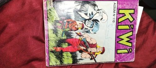 Bandes dessinées vintage