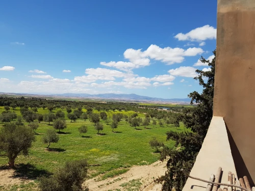 Vente Villa Tlemcen Hennaya