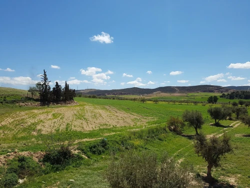 Vente Villa Tlemcen Hennaya