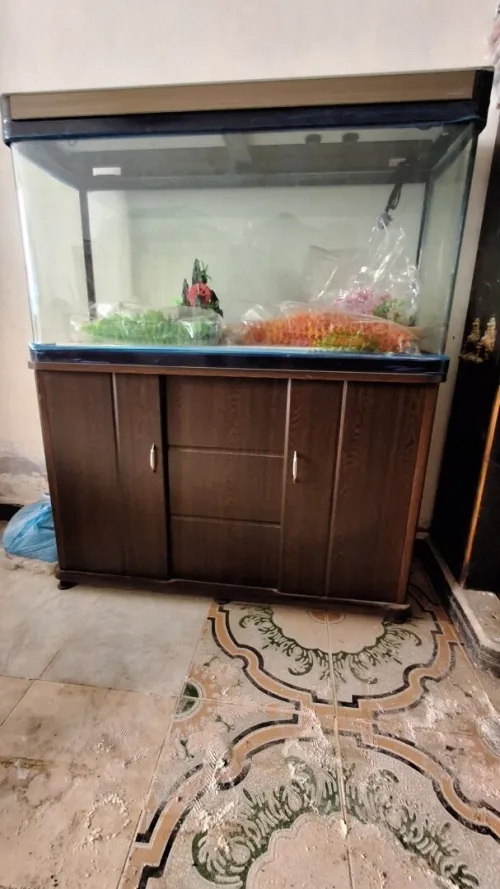 Aquarium 