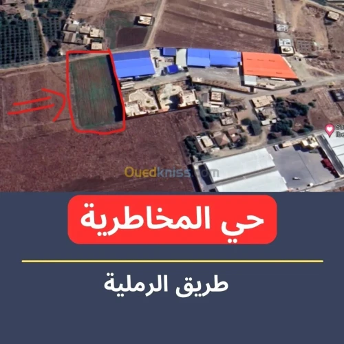 Vente Terrain Chlef Chlef