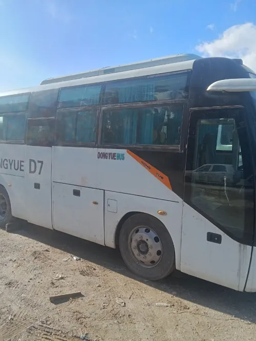 Dong you D7 2012