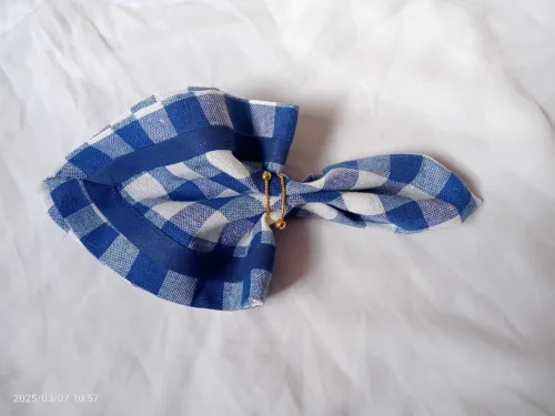 PARURE SERVIETTE DE CUISINE