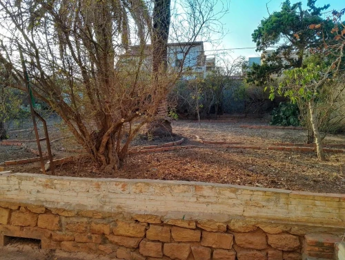 Vente Terrain Oran Arzew