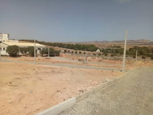 Vente Terrain Sidi Bel Abbès Sidi hamadouche