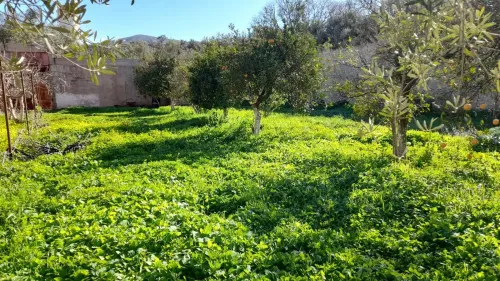 Vente Terrain Tlemcen Chetouane