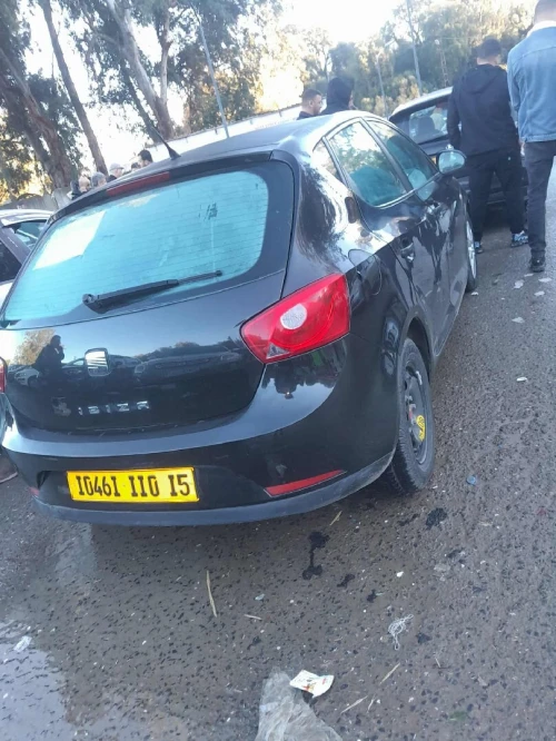 Seat Ibiza 2010 Ibiza