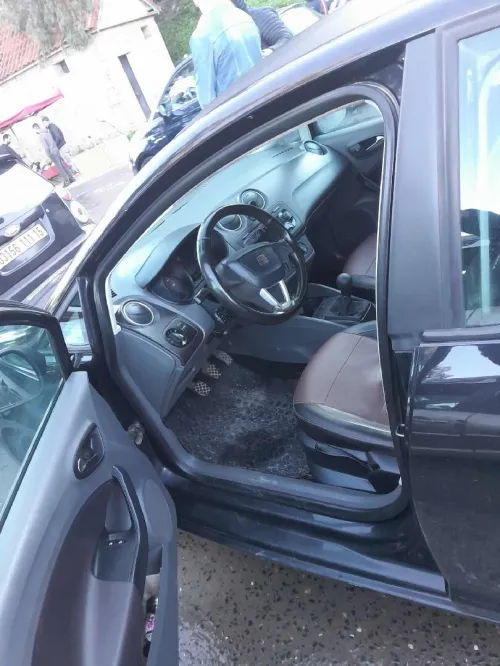 Seat Ibiza 2010 Ibiza