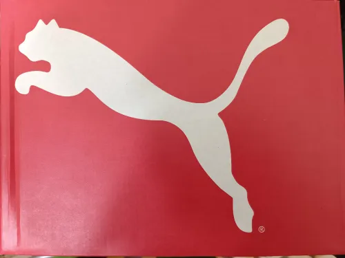 PUMA Rebound joy