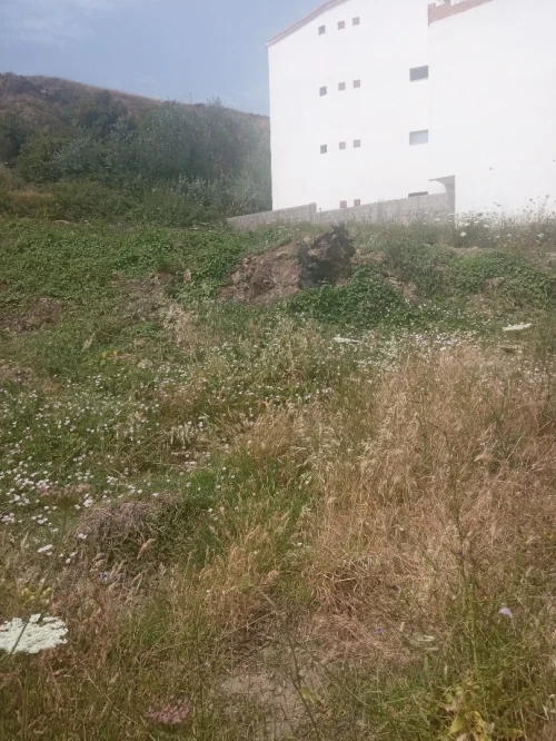 Vente Terrain Tizi Ouzou Azeffoun