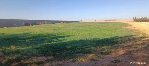Vente Terrain Agricole Laghouat Laghouat