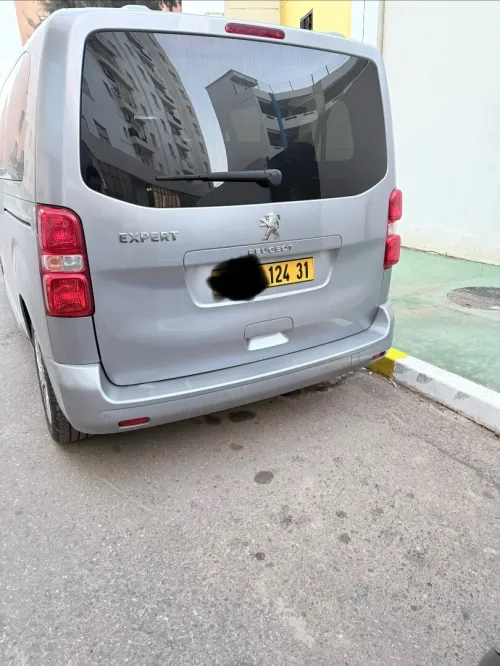 Peugeot Expert 2024 Combi