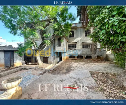 Location Villa Alger Hydra