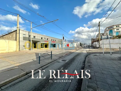 Vente Terrain Alger Hussein dey