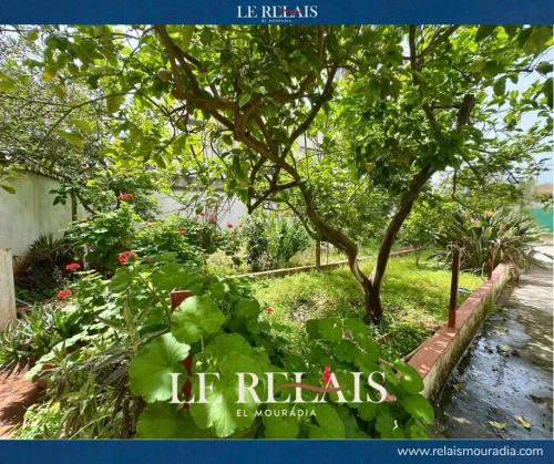 Location Villa Alger Hydra