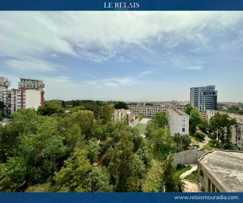 Vente Appartement F3 Alger Ben aknoun