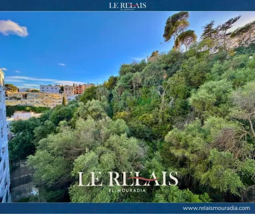 Location Appartement F2 Alger El biar