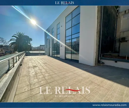 Location Local Alger El biar