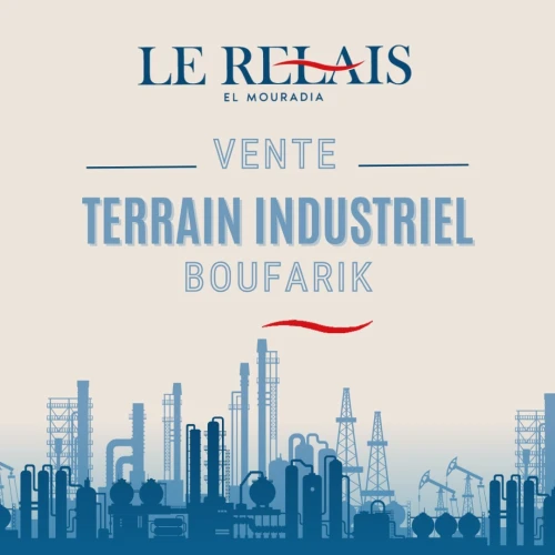 Vente Terrain Blida Boufarik