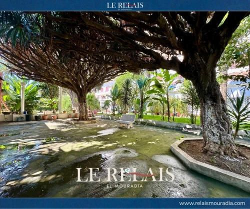 Vente Appartement F4 Alger Alger centre