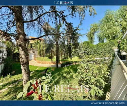 Vente Terrain Blida Beni mered