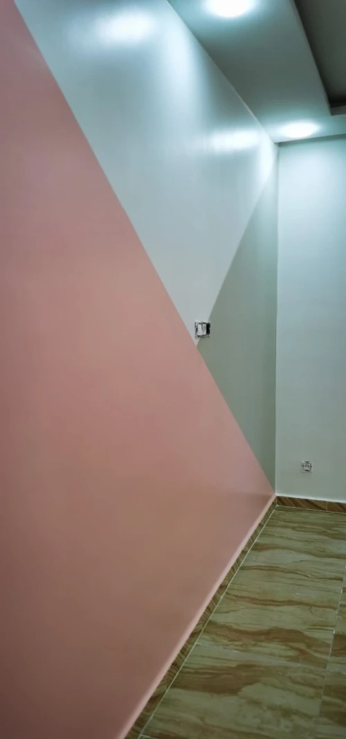 peintre سباغ 
