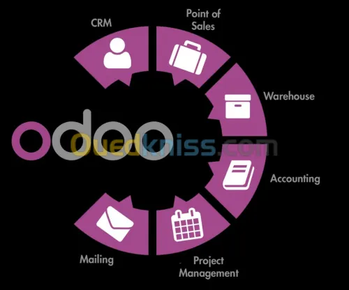 Erp odoo ,Alger,Algérie 