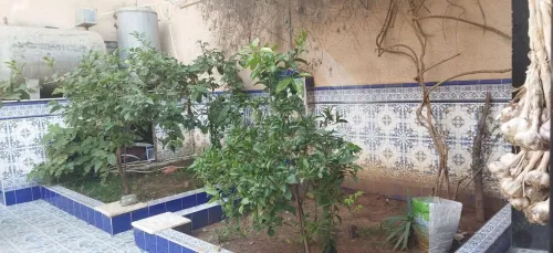 Vente Villa Alger Bologhine