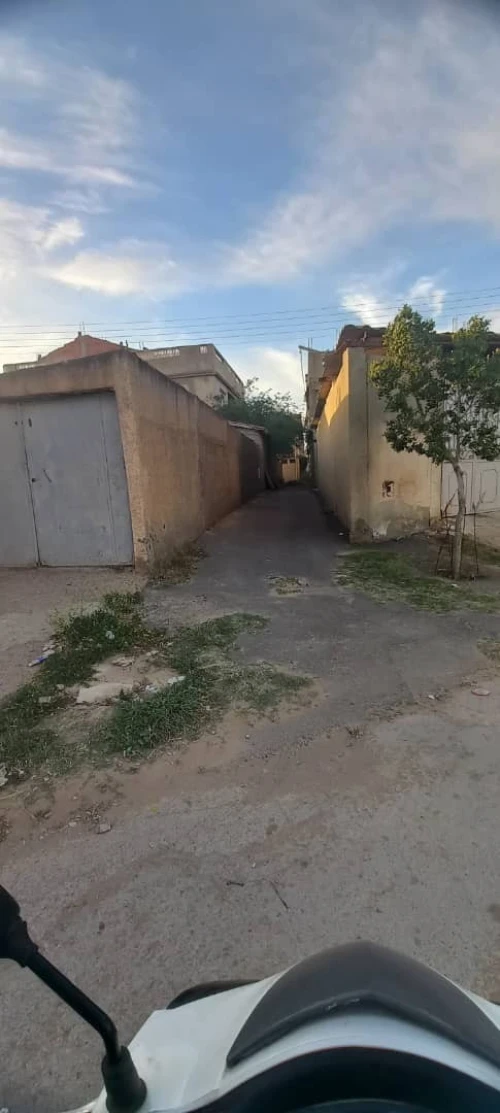 Vente Terrain Chlef Chlef