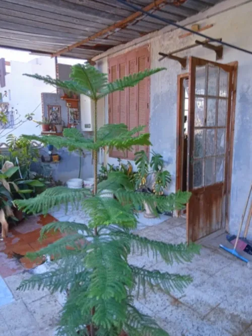 Vente Villa Alger El magharia