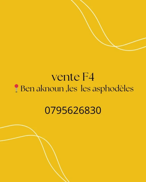 Vente Appartement Alger Ben aknoun