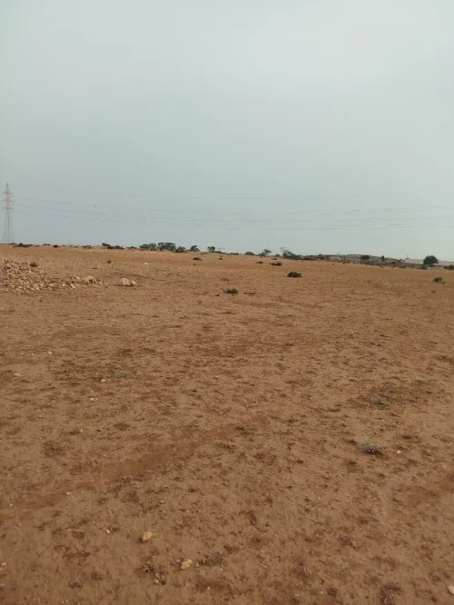 Vente Terrain Agricole Oran Hassi ben okba