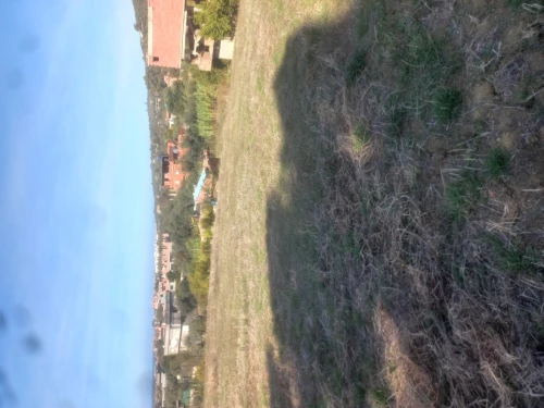 Vente Terrain Jijel Chekfa
