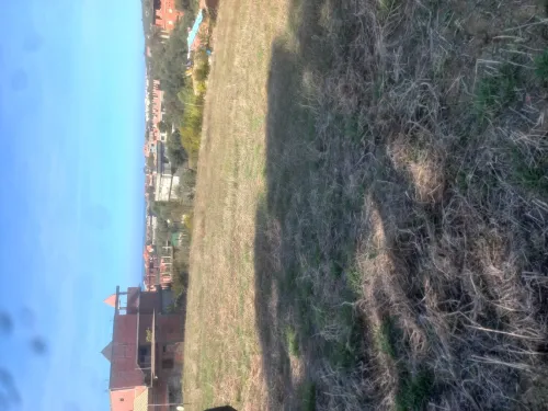Vente Terrain Jijel Chekfa