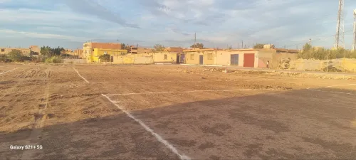 Vente Terrain Mostaganem El hassiane