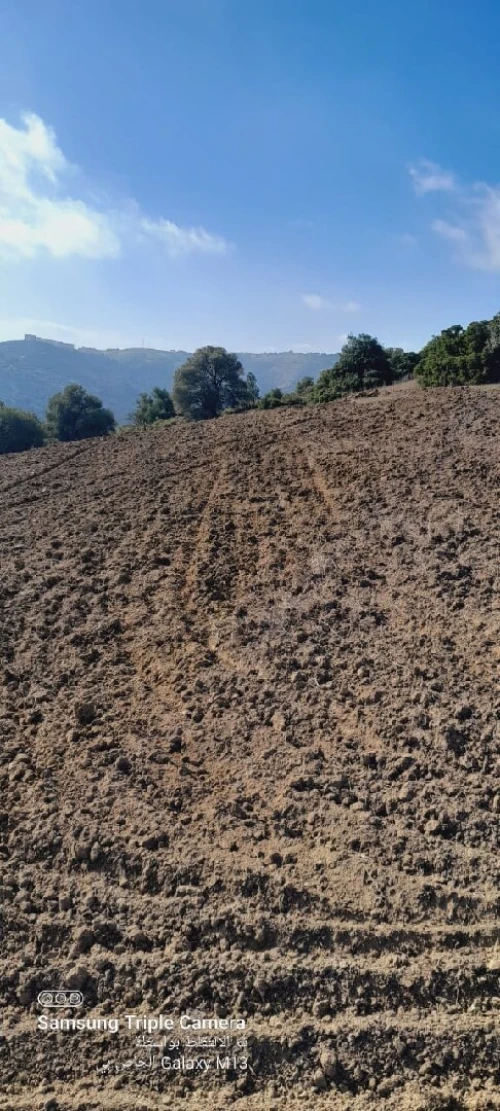 Vente Terrain Agricole Tipaza Meurad