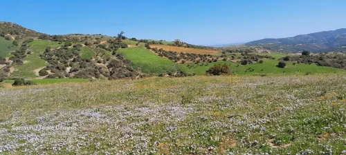 Vente Terrain Agricole Tipaza Meurad