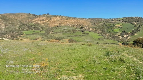 Vente Terrain Agricole Tipaza Meurad