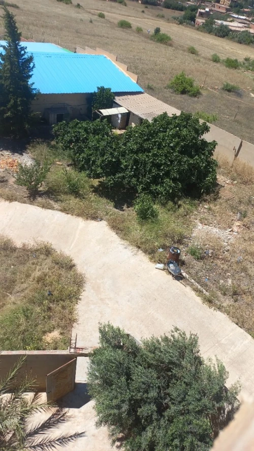 Location Terrain Agricole Aïn Defla Bir ould khelifa