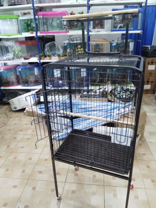 Cage perroquet