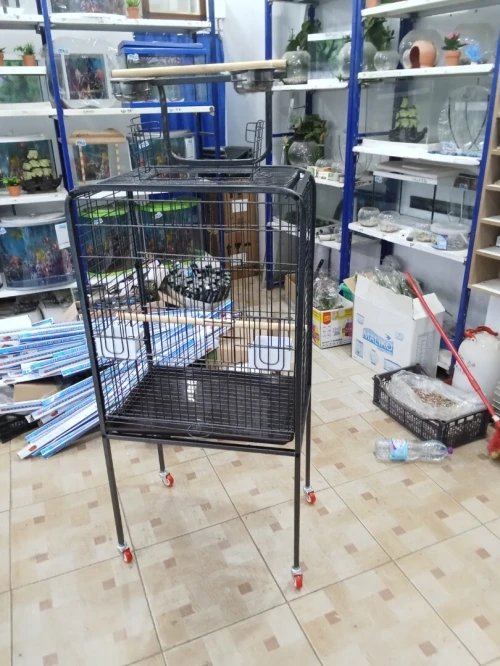 Cage perroquet