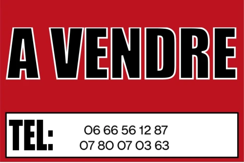 Vente Immeuble Alger Les eucalyptus