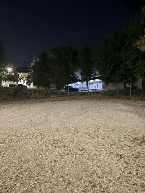 Vente Terrain Alger El biar