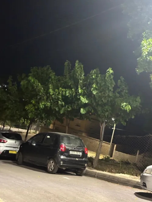 Vente Terrain Alger El biar