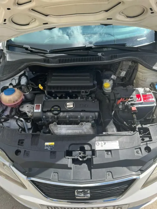 Seat Ibiza 2014 Crono