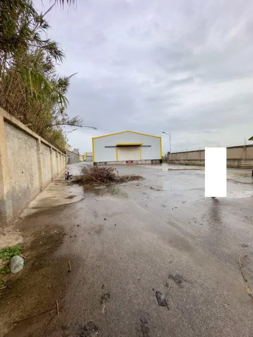 Vente Hangar - Usine Tipaza Kolea