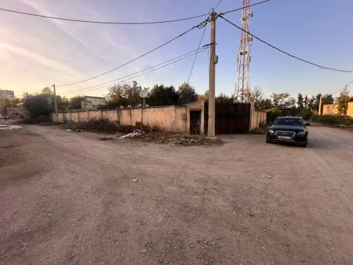 Vente Terrain Blida Bouinan