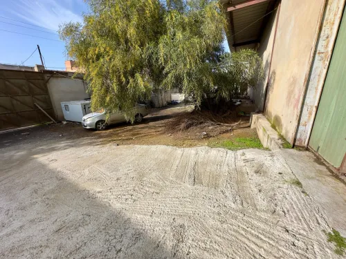 Location Hangar - Usine Tipaza Fouka